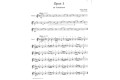 Violin Studies - 40 Variations Op.3 - Otakar Sevcik - 40 wariacji - nuty - ćwiczenia na skrzypce sklep.giszowiec.org