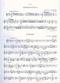 Romantic Piano Trios - Romantyczne tria fortepianowe dla początkujących - Arpad Pejtsik, Laszlo Zempleni I sklep.giszowiec.org