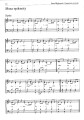 Canticum Novum_0002.jpg