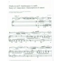chopin_słynne _transkrypcje_wiola_1b.webp