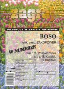 Zagraj to sam - nr III/2011 (216)