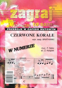 Zagraj to sam - nr IV/2016 (238)