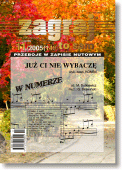 Zagraj to sam - nr 11/2005 (149)