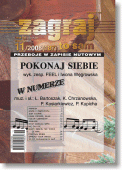 Zagraj to sam - nr 11/2008 (187)