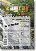 Zagraj to sam - nr 11/2006 (162)