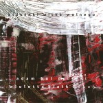 Adam Bul Projekt - Piosenki Witka Wolnego (CD)