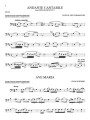 Andante Cantabile - na wiolonczelę I sklep.giszowiec.org
